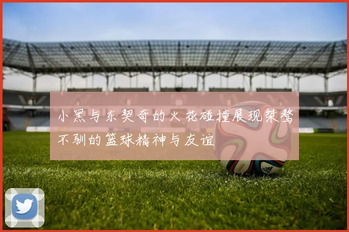 小黑与东契奇的火花碰撞展现桀骜不驯的篮球精神与友谊