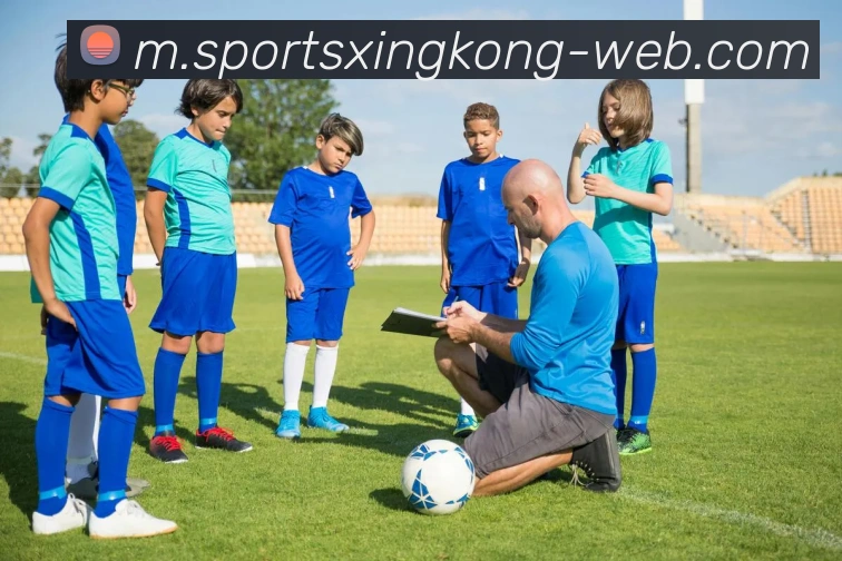 星空体育平台生态图